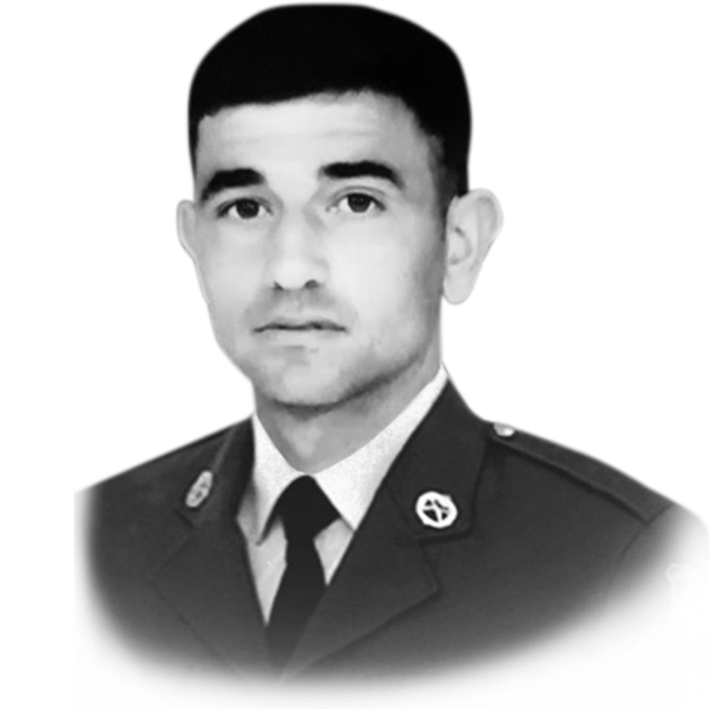 Vəliyev Elmir Məmmədqulu