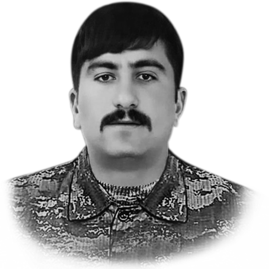 Novruzov Şəhnin Şahlar