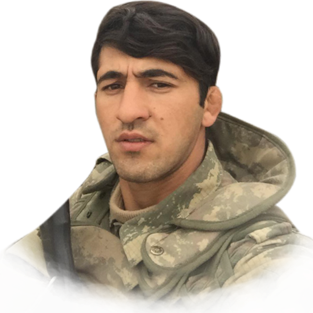 Alıyev Elvin Bəhram