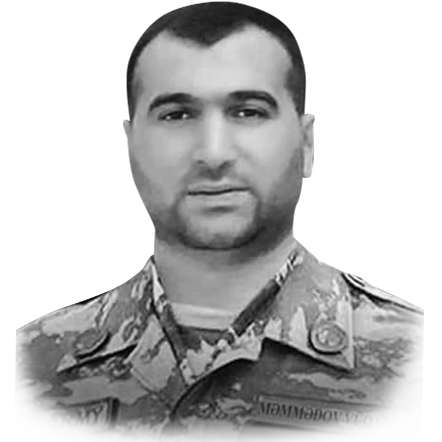 Məmmədov Vüqar Elxan