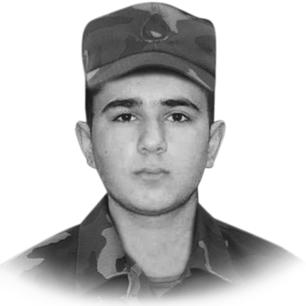Seyfullayev Araz Elsevər