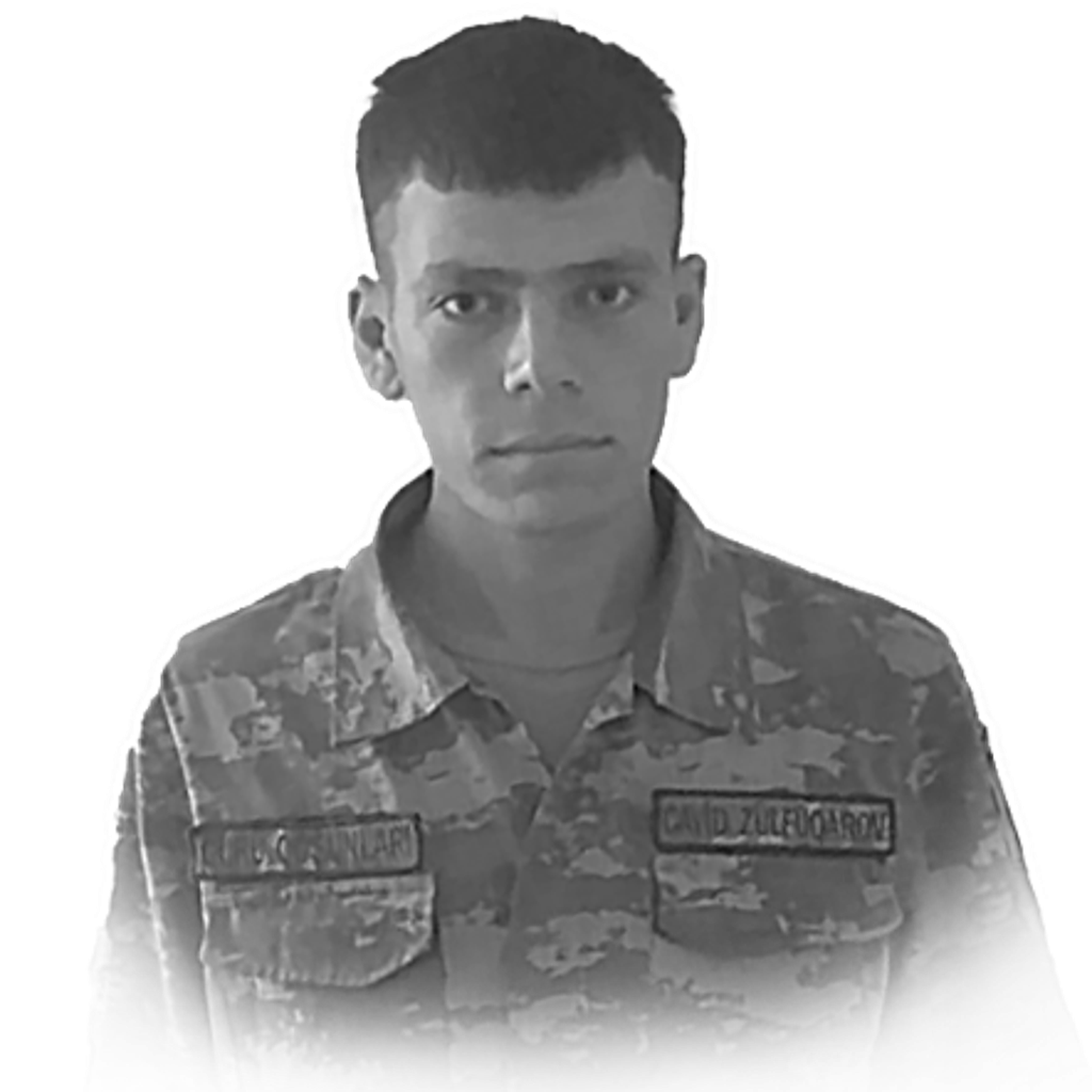 Zülfüqarov Cavid Cavanşir