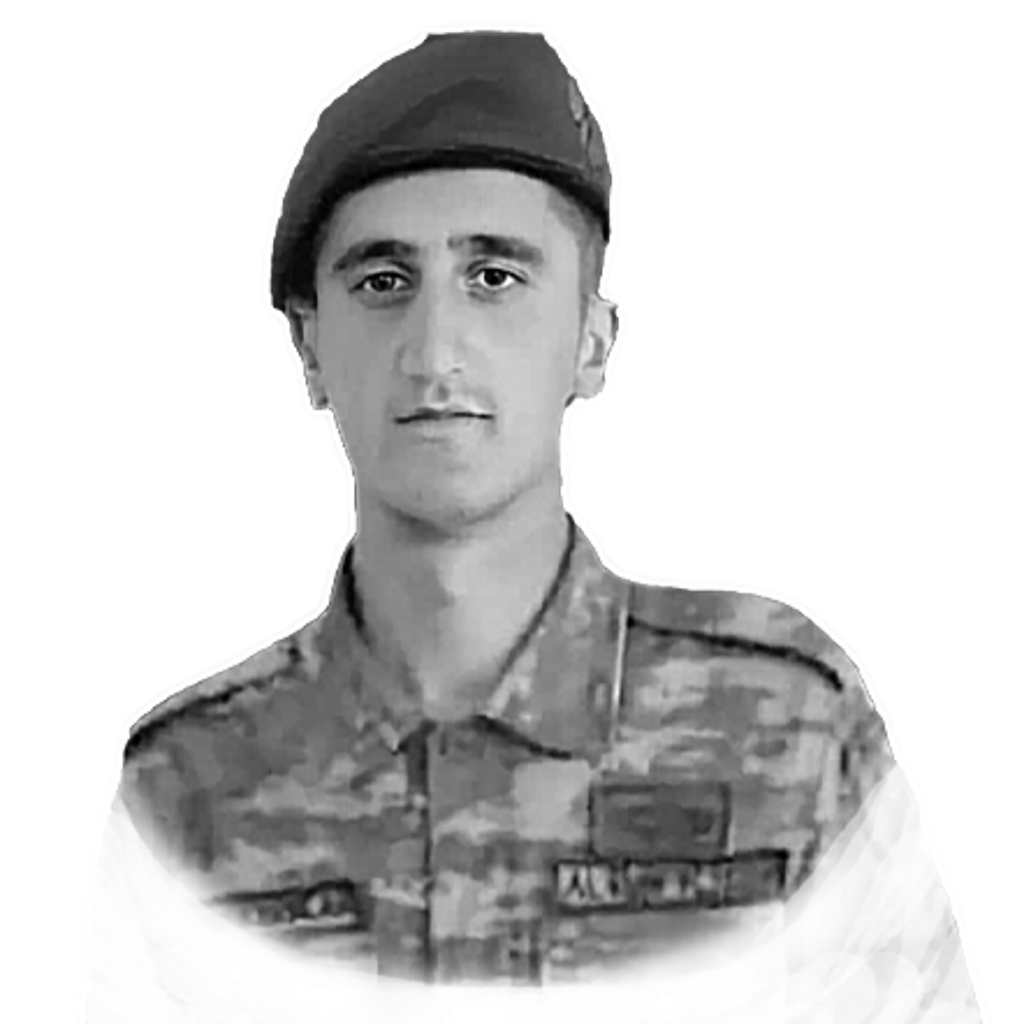 Əliyev Altun Tağı