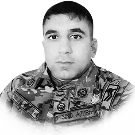 Mədətov Röyal Şahin