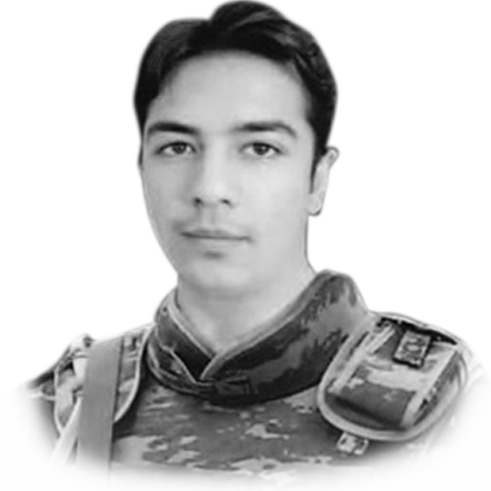 Məmmədov Əlihüseyn Elşad