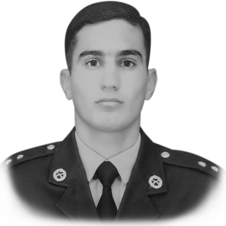 Həmidov Mixail Hamletoviç