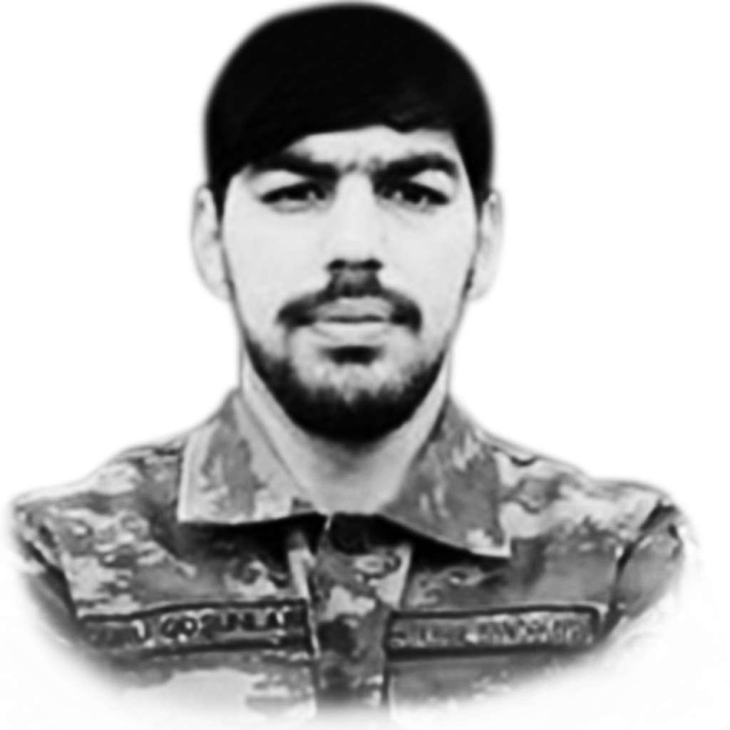 Əliyev Ramil Vüqarəddin