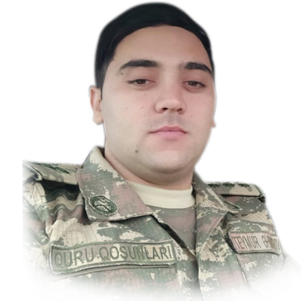 Əhmədov Teymur Cəfər