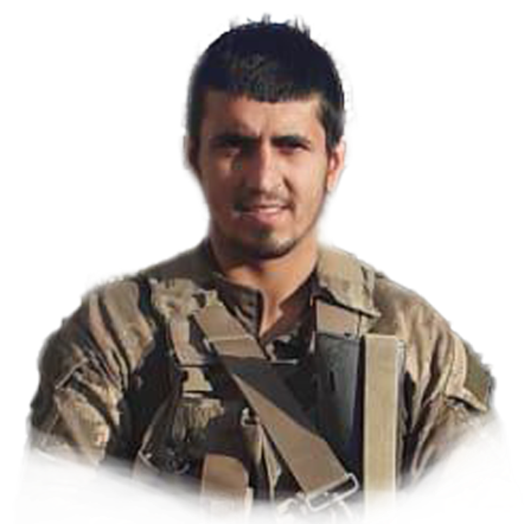 Cəfərov Afiyyədin Cəmaləddin