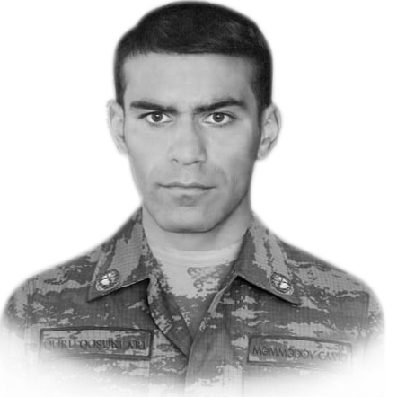 Məmmədov Cavid İlham