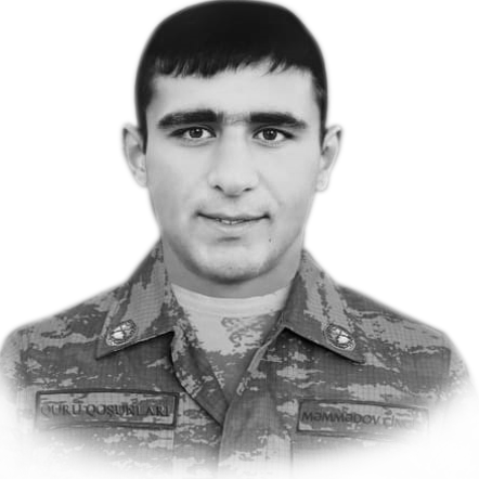 Məmmədov Çingiz İlham