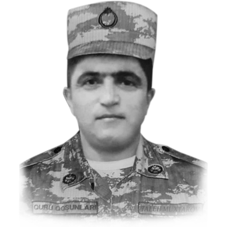 Muxtarov Taleh Həşim
