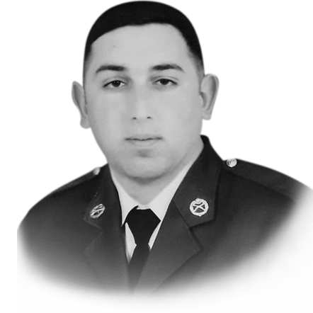 Əliyev Elçin Sarvan