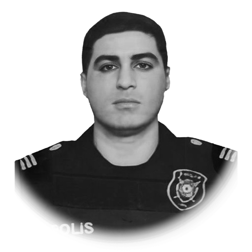 Mahmudov Seymur Elsevər