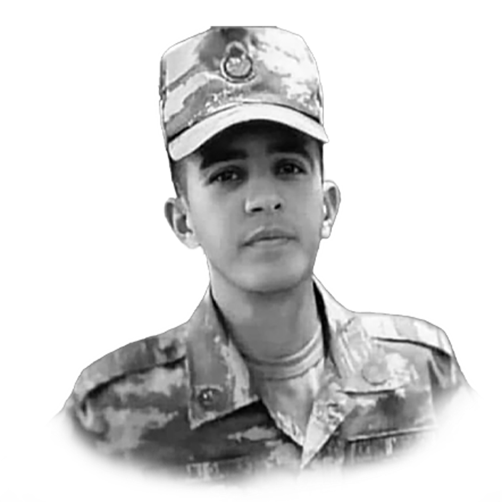 Nəsibov Aqşin Vasif