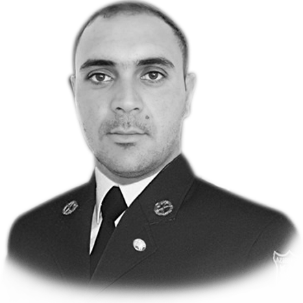 Məmmədov Elməddin Mikayıl
