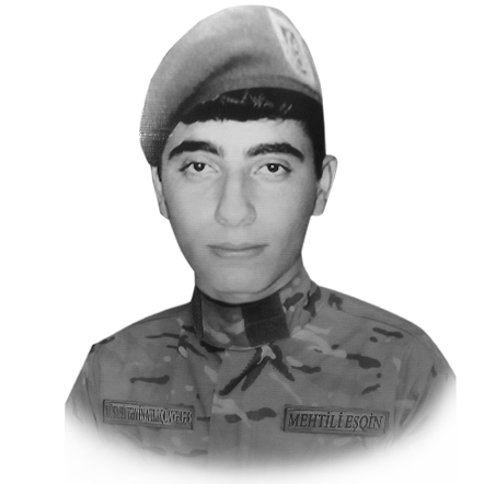 Mehtili Eşqin Tərlan