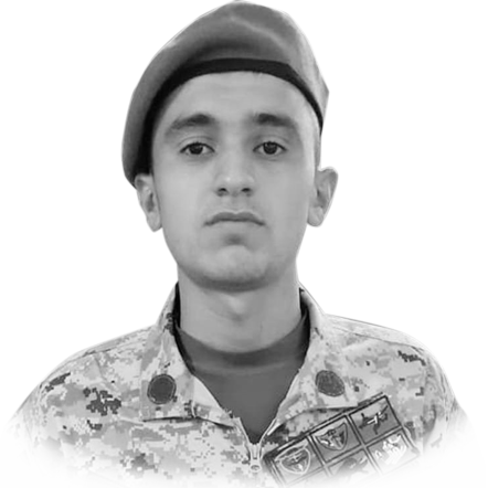 Mustafayev Musa Əlövsət