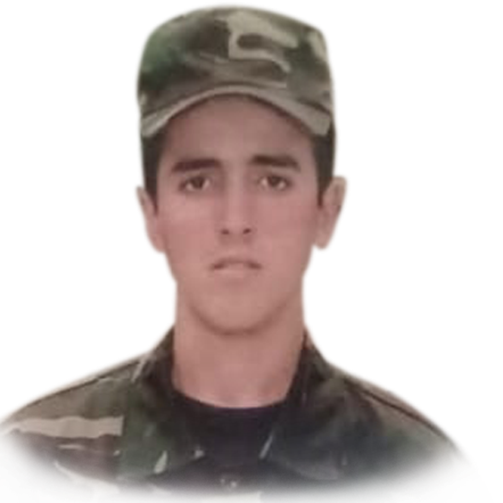 Mahmudov Ülfət Əlizamin