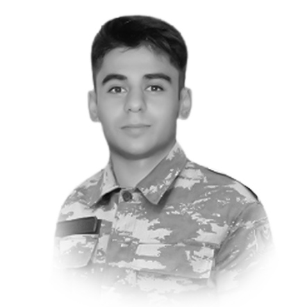 Məmmədov Rövşən Müşfiq
