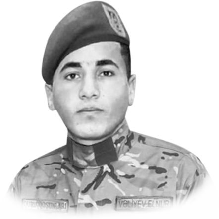Vəliyev Elnur Mirsiyab