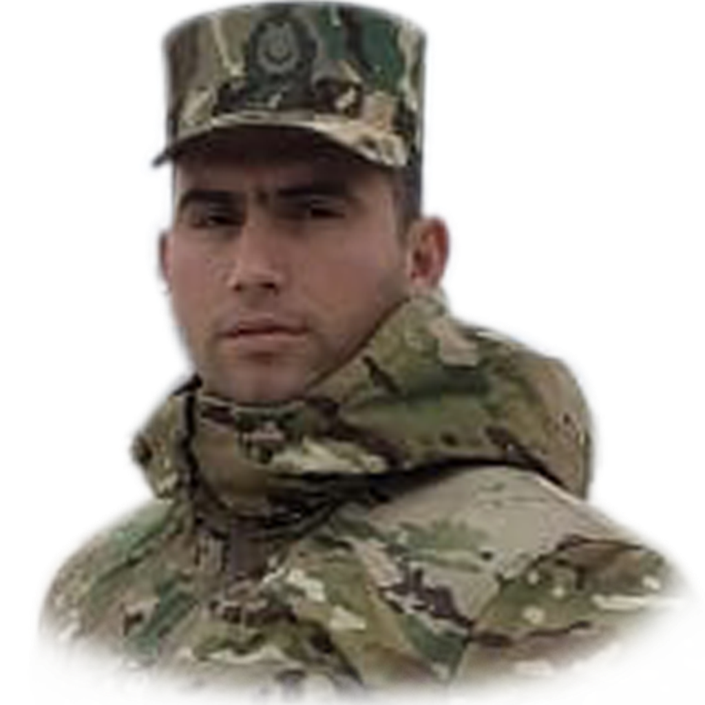 Quliyev Anar Fərmail
