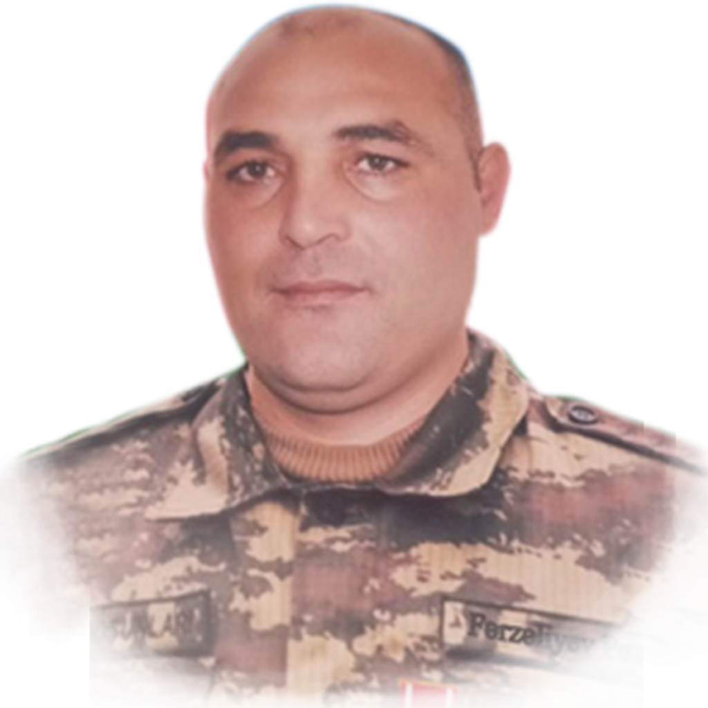 Fərzaliyev Pərvin Bəhlul