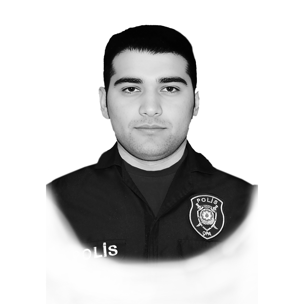 Məmmədov Rasim Oktay
