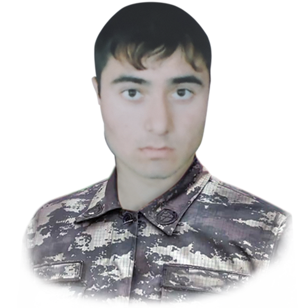Maverdiyev Volodya Şahlar