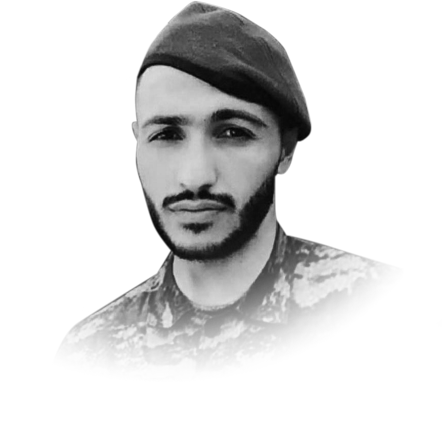 Əlimərdanov Elvin İlham