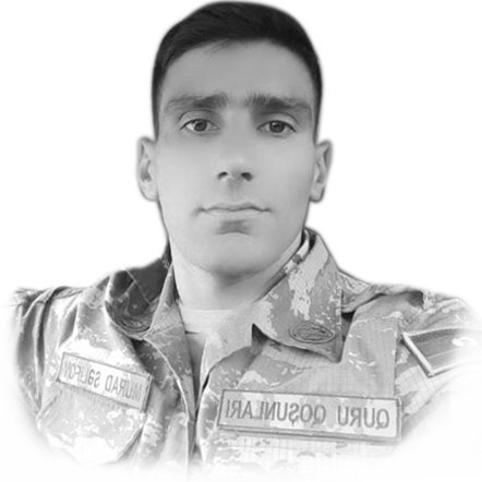 Səlifov Murad Nəbi